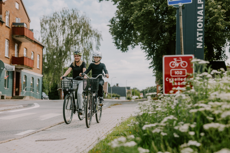 Svalövs-kommun-Port-Röstånga-Cykelleden-Skåne-002