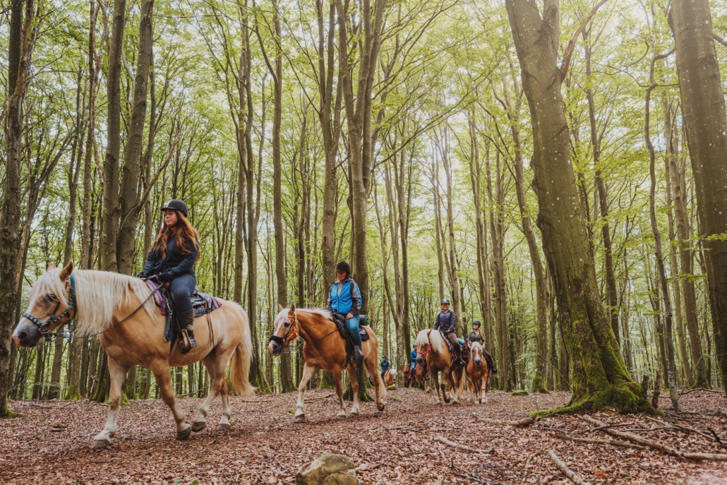 Klippans-kommun-Port-Skäralid-Söderåsens Turridning-2020-07-049