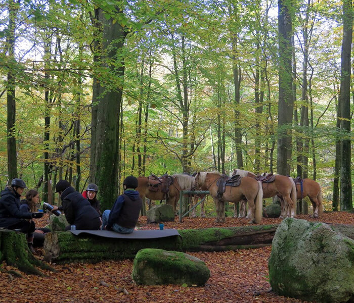 700x600-soderasen-turridning